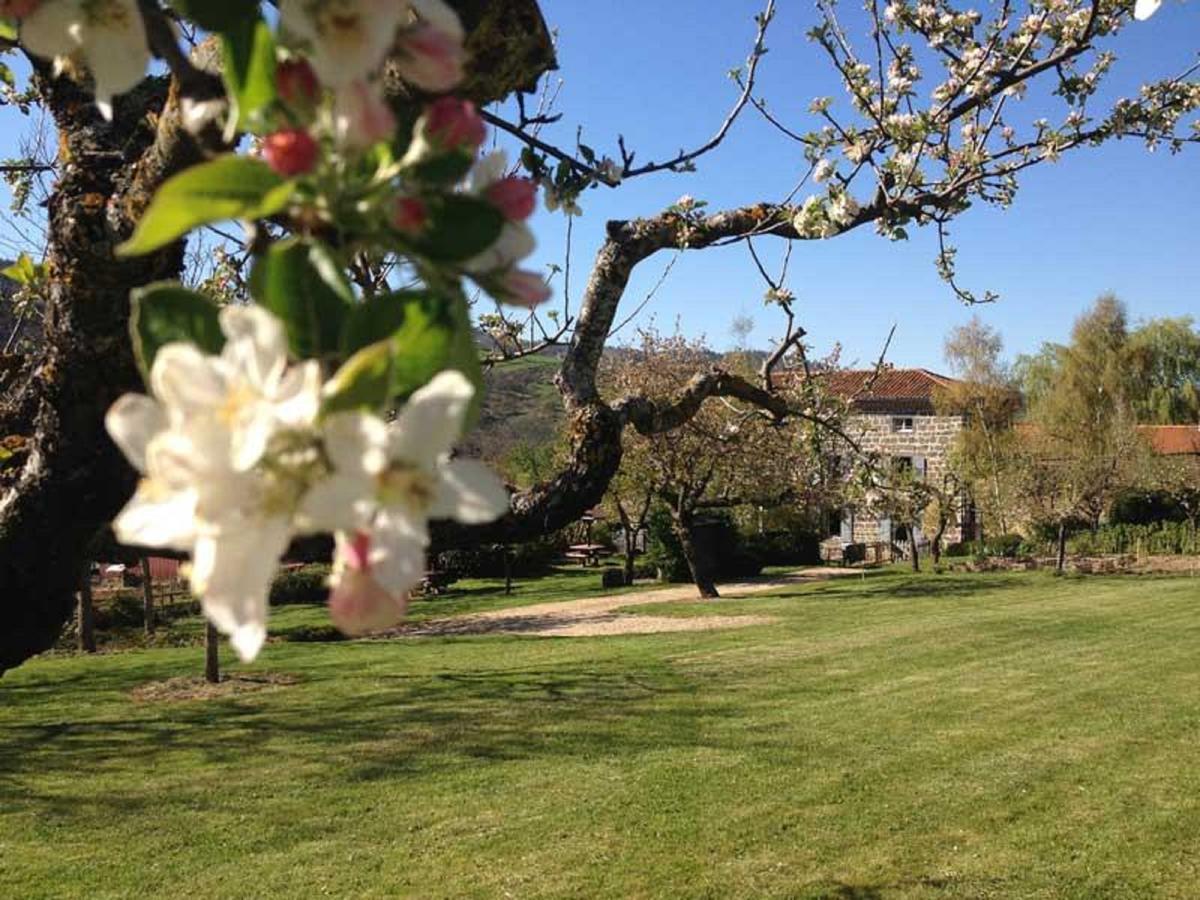 Les Jardins D'Anna - Chambres D'Hotes Tapon Экстерьер фото